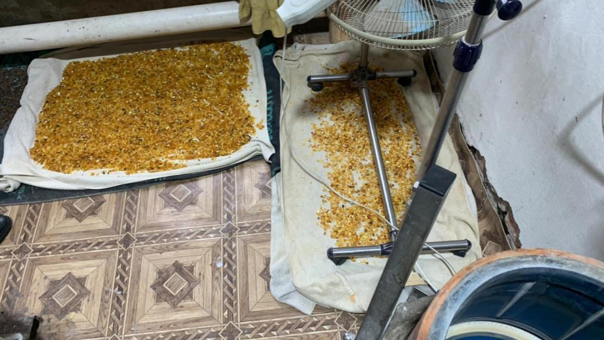 На Рівненщині правоохоронці вилучили понад 240 кілограмів бурштину вартістю два мільйони гривень