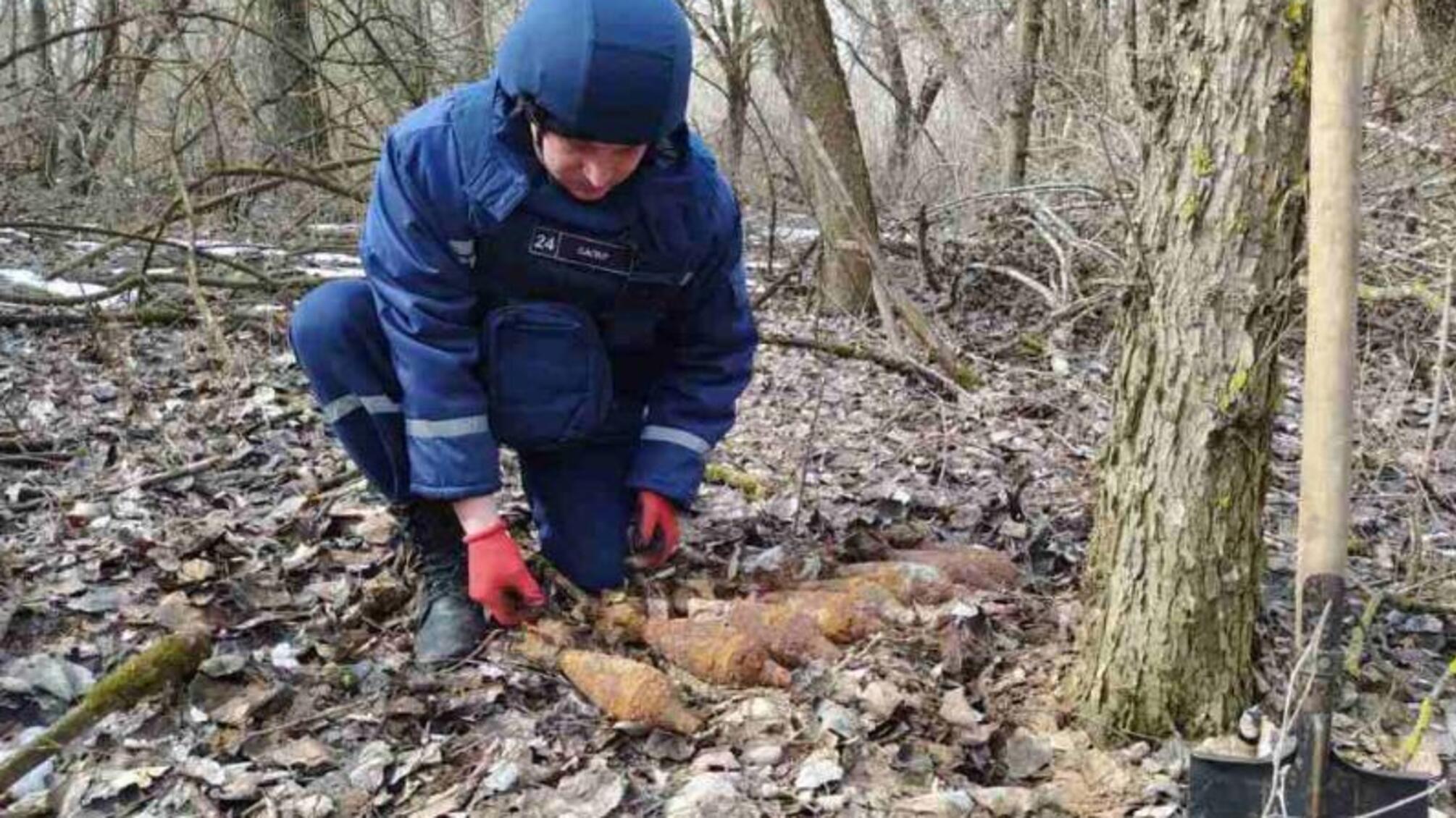 На Чернігівщині піротехніки ДСНС знищили 8 мінометних мін часів Другої світової війни