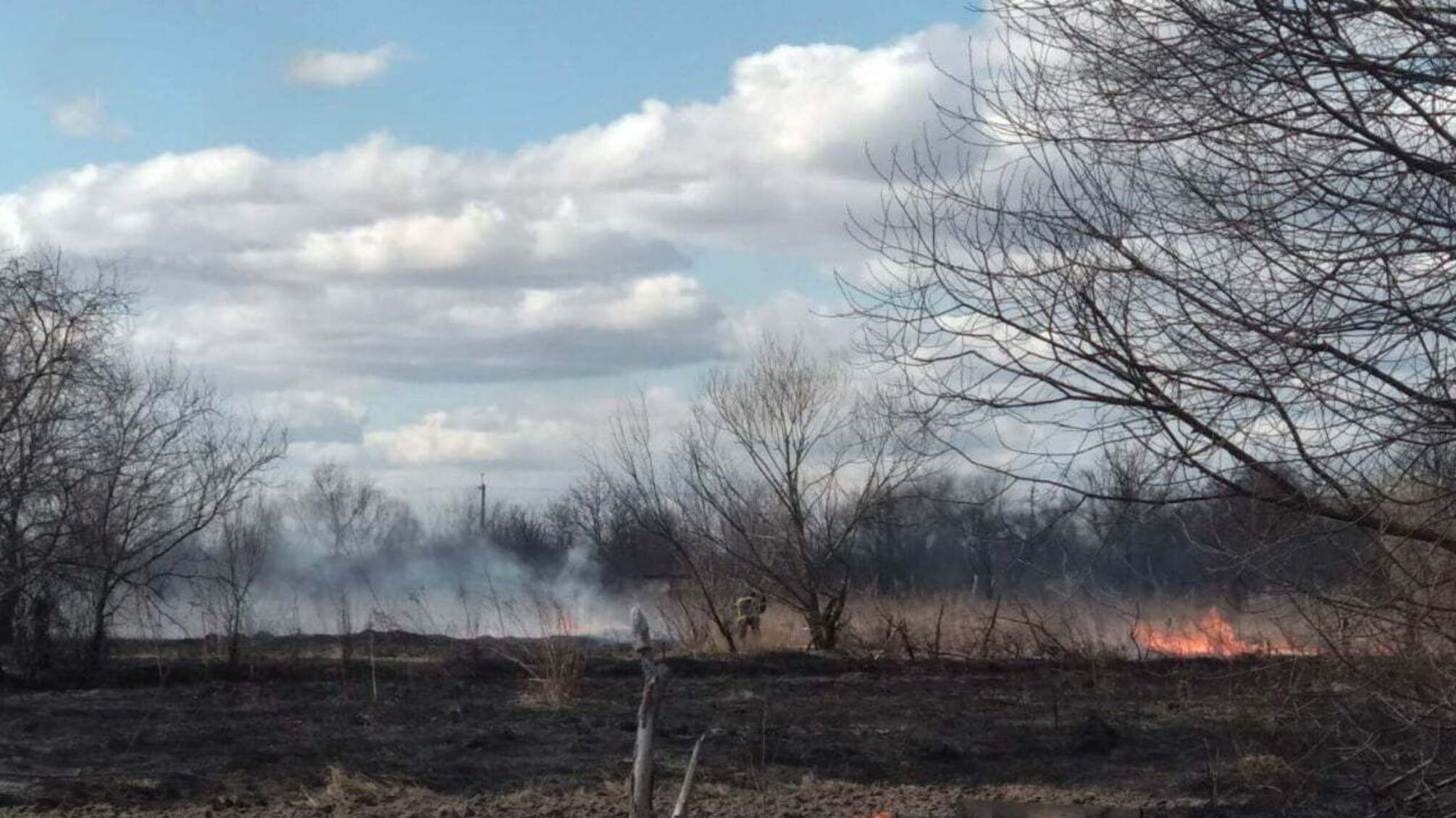 Житомирська область: коростенські вогнеборці ліквідували займання сухостою