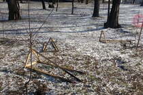 Новости Днепра: вандалы разгромили парк в городе (фото)