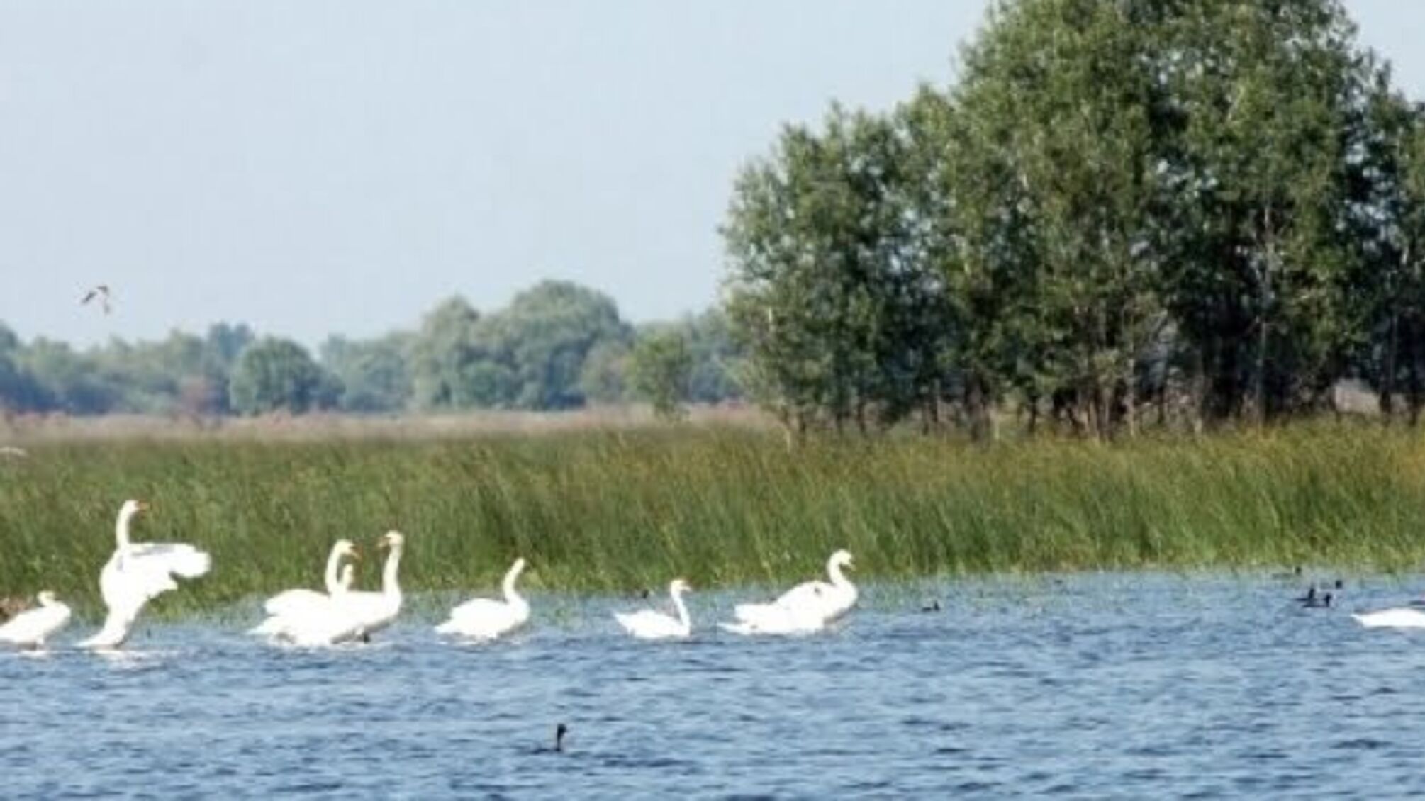 Водні ресурси України торік постраждали на 188 мільйонів – Держекоінспекція