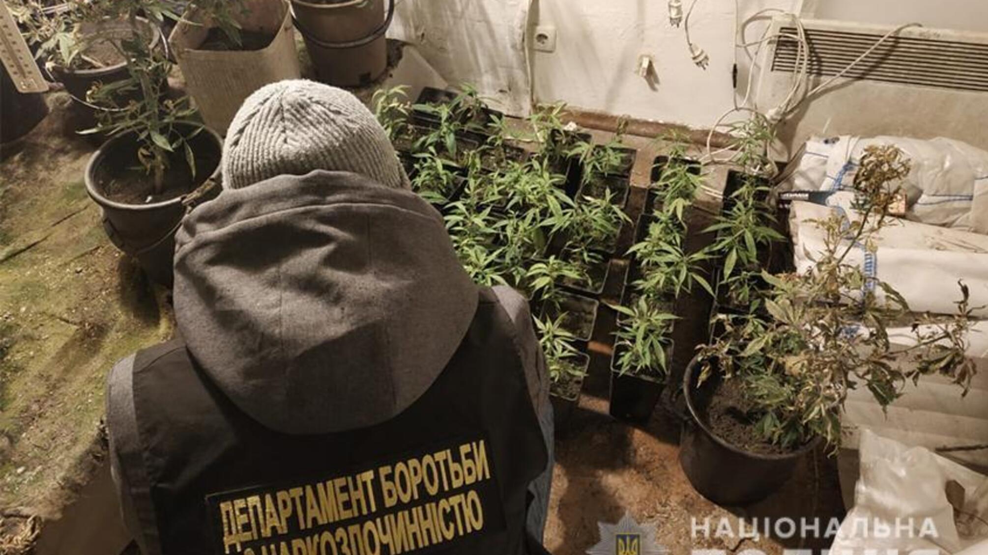 У жителя Запоріжжя поліцейські виявили міні-теплицю з вирощування конопель