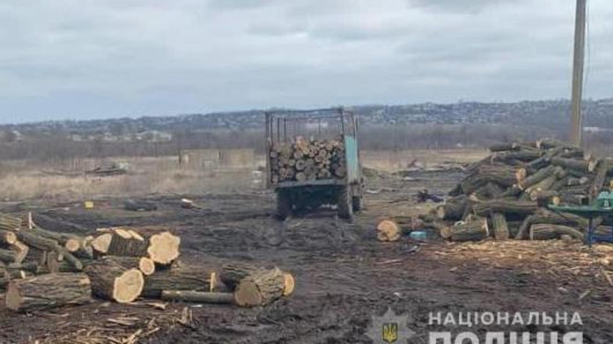 На Дніпропетровщині поліція викрила злочинну організацію на незаконній порубці лісу на 2,6 млн грн