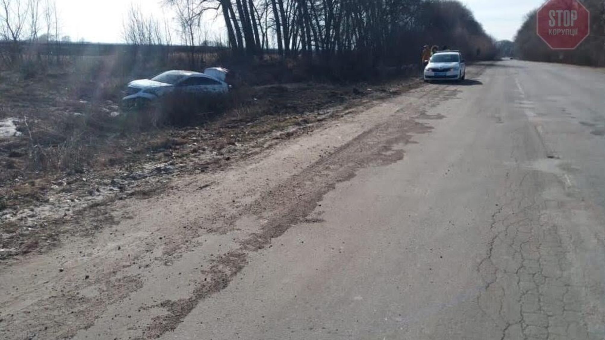 В Сумской области автомобиль съехал с дороги в кювет, есть пострадавший (фото)