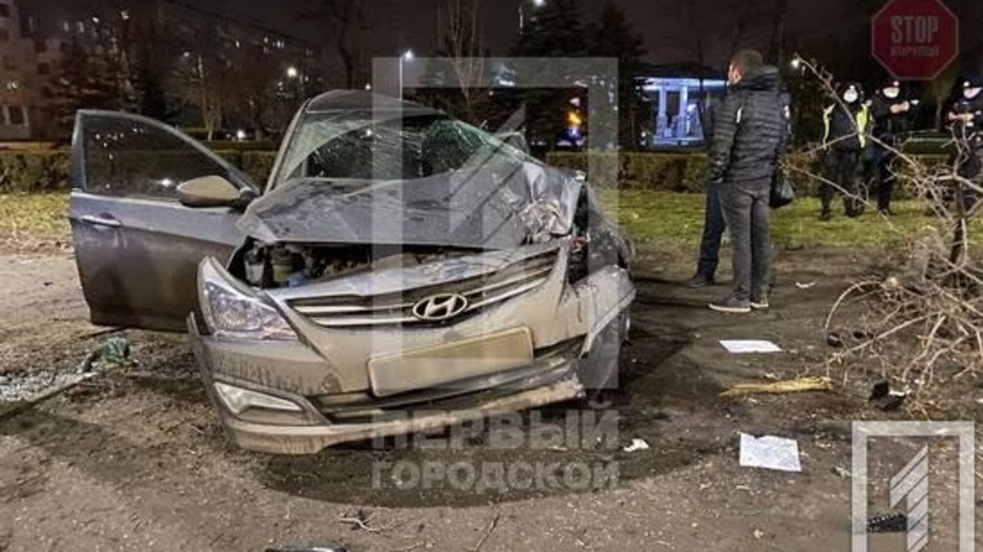 В Кривом Роге иномарка влетела в дерево