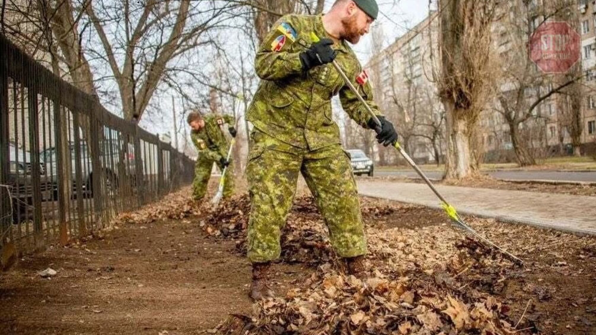 У Миколаєві військові інструктори з Канади допомогли з прибиранням листя (фото)