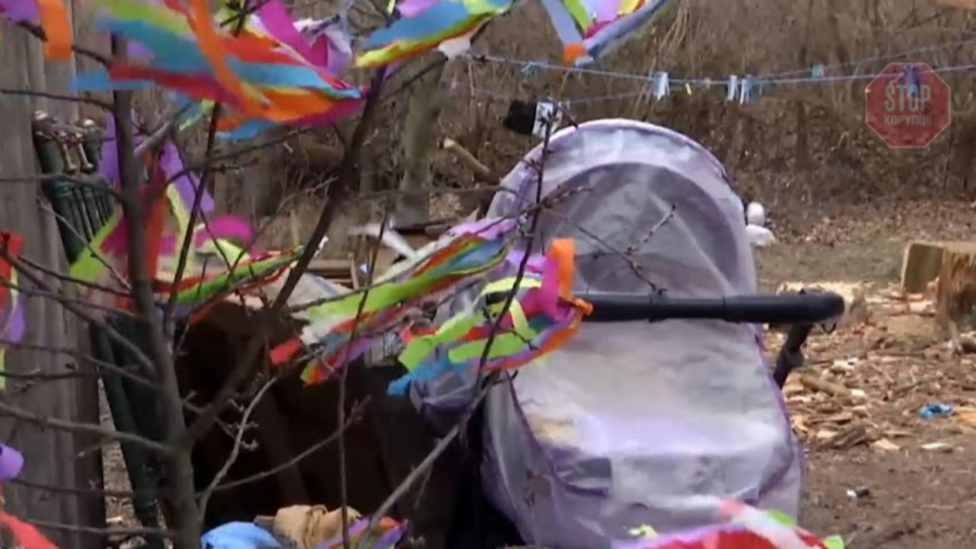 В Ровенской области кот задушил младенца