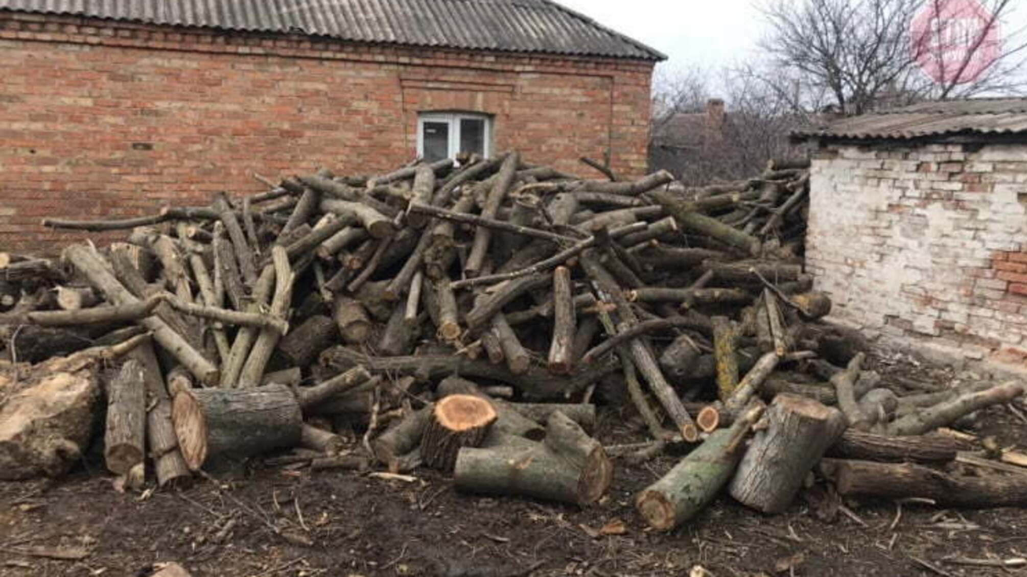 Новости Кривого Рога: правоохранители задержали трех 'черных' лесорубов