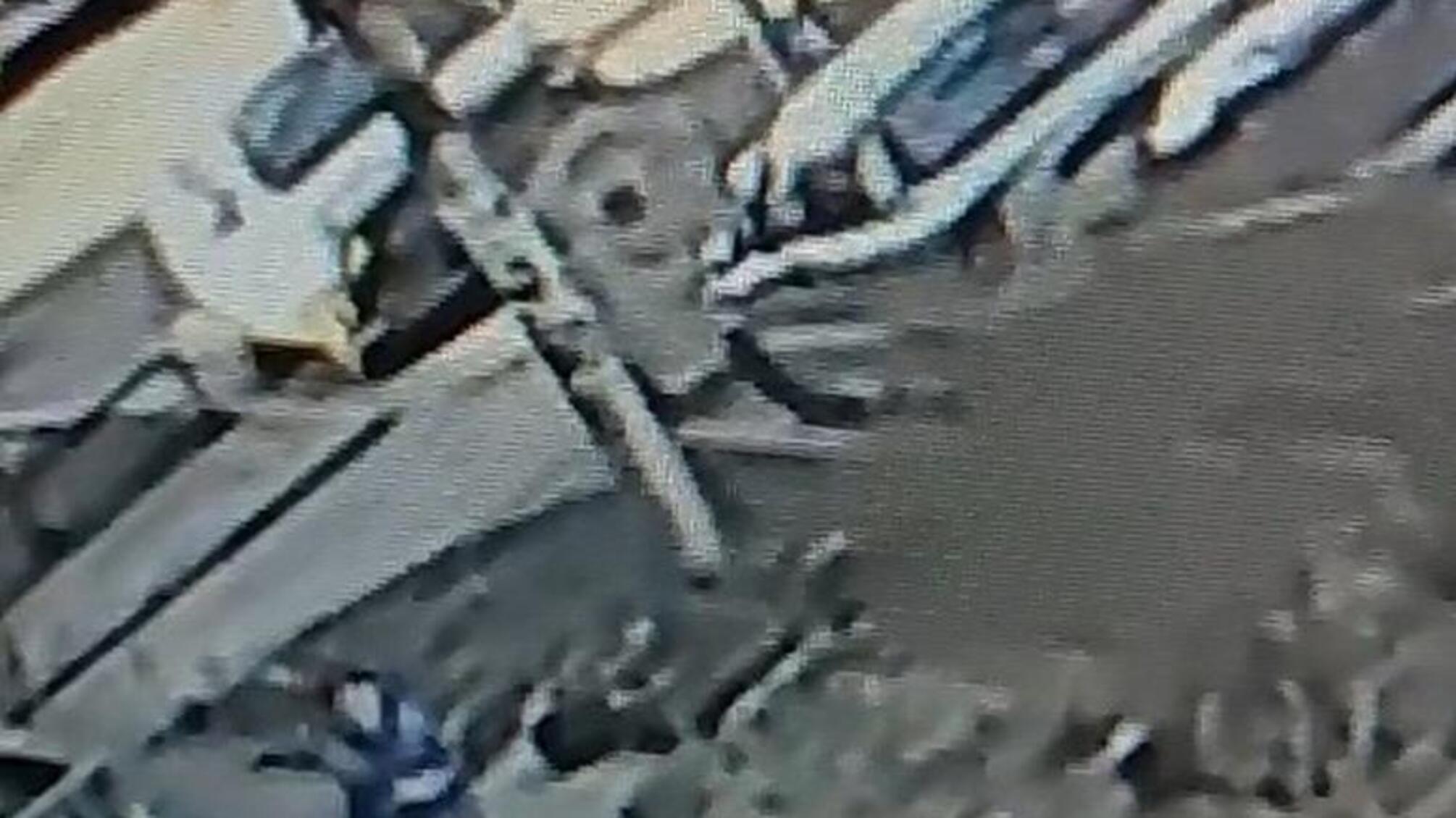 Андрій Крищенко: «У Києві поліцейські затримали підозрюваного у педофілії»