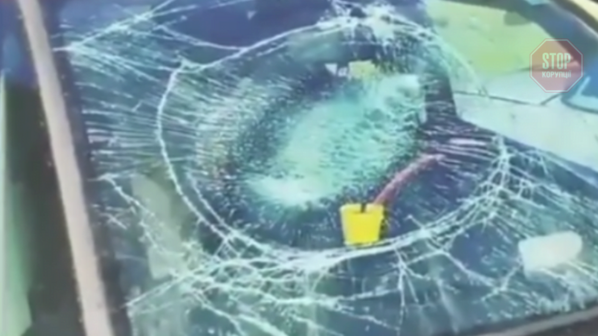 Новости Днепра: кот прыгнул на машину и разбил лобовое стекло (видео)