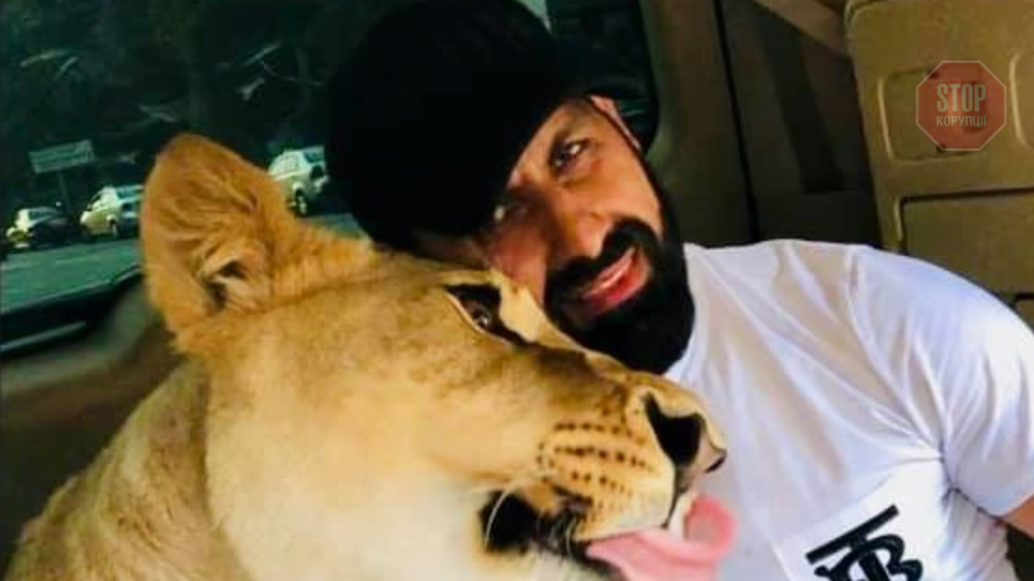 Харківський депутат від 'ОПЗЖ' задекларував африканського лева