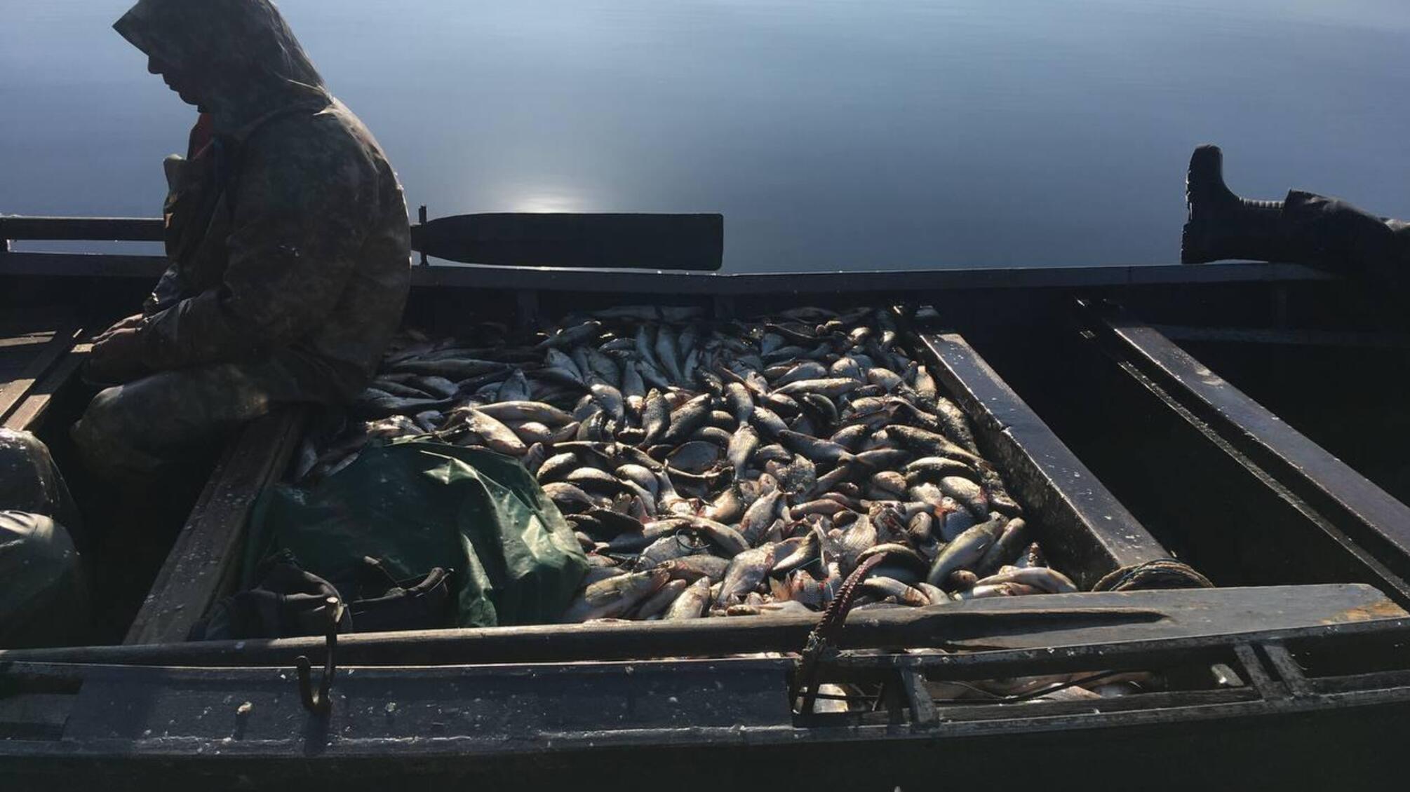 Водна поліція затримала браконьєрів із виловом на понад півтора мільйона гривень