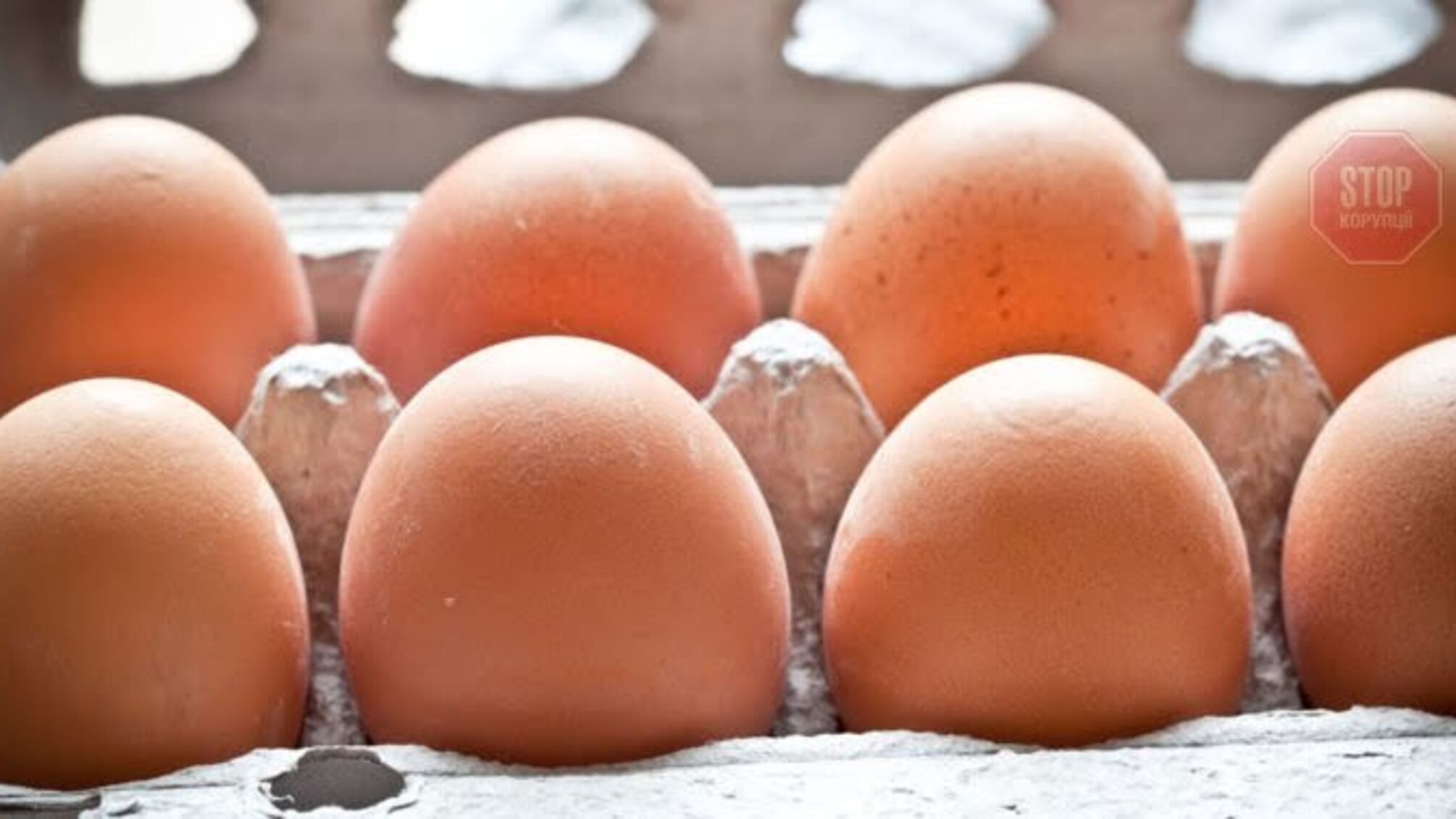 НАБУ обвинили в падении производства яиц в Украине