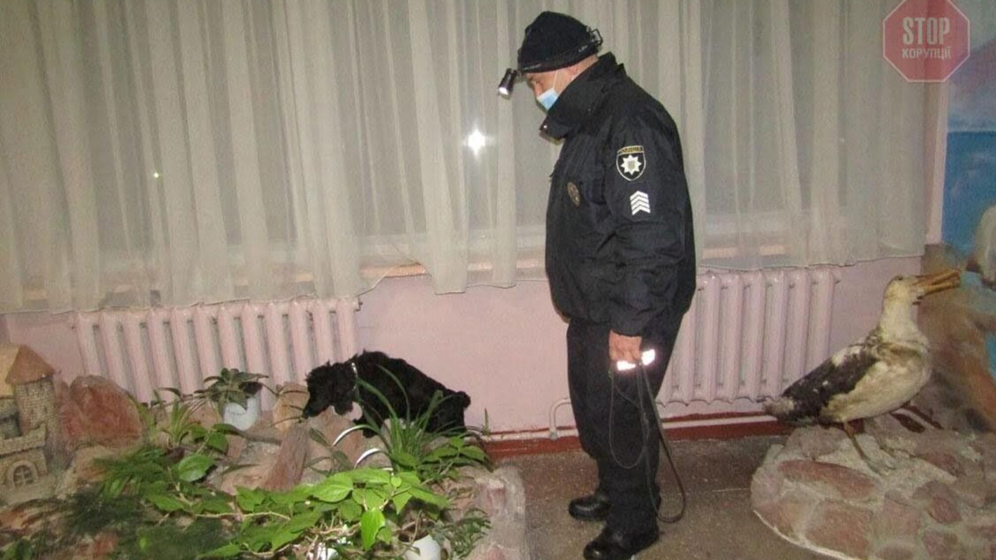 Новости Чернигова: девочка с Киевщины 'заминировала' школу из-за пари с подругой