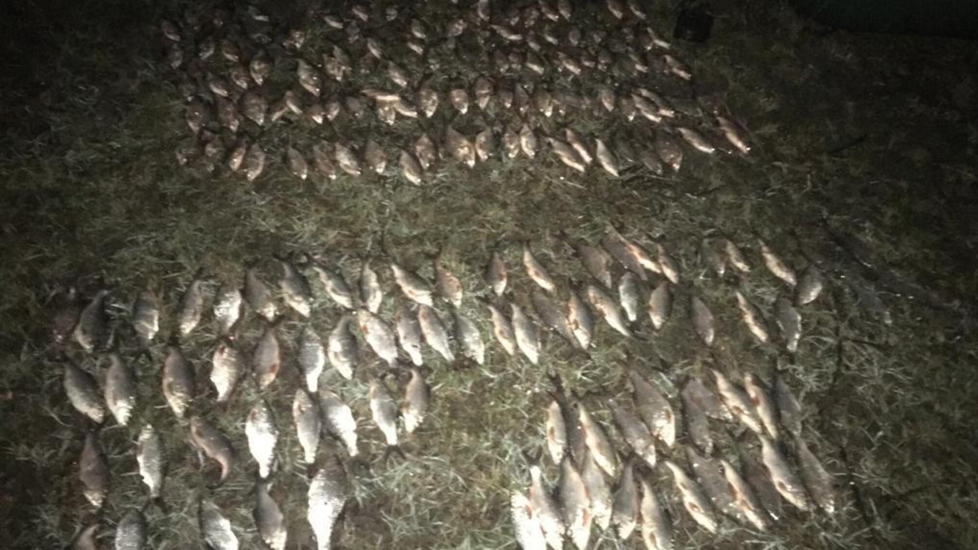 В Одеському районі під час рейду на річці Турунчук водна поліція викрила браконьєра