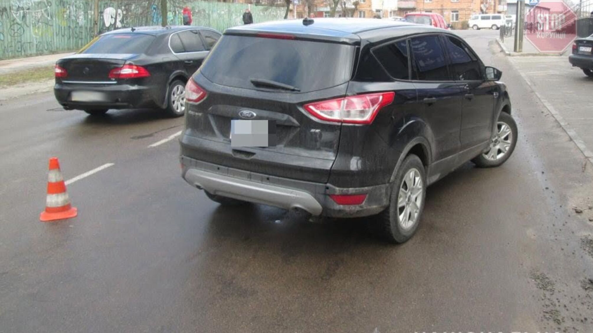 На Житомирщині поліція оголосила про підозру водійці, яка збила 90-річну бабусю (фото)