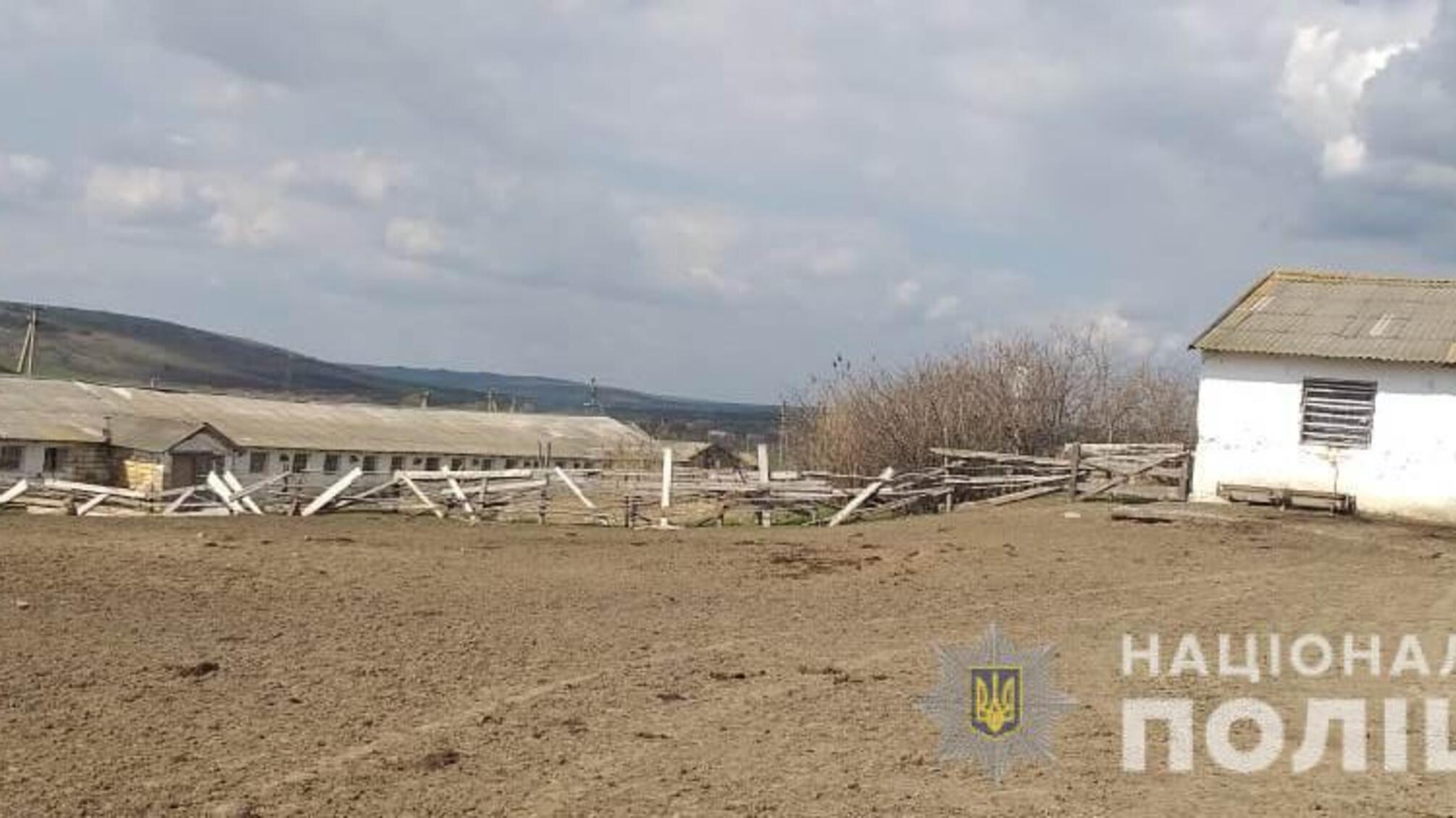 Поліцейські притягують до кримінальної відповідальності двох неповнолітніх жителів Ширяївської селищної громади