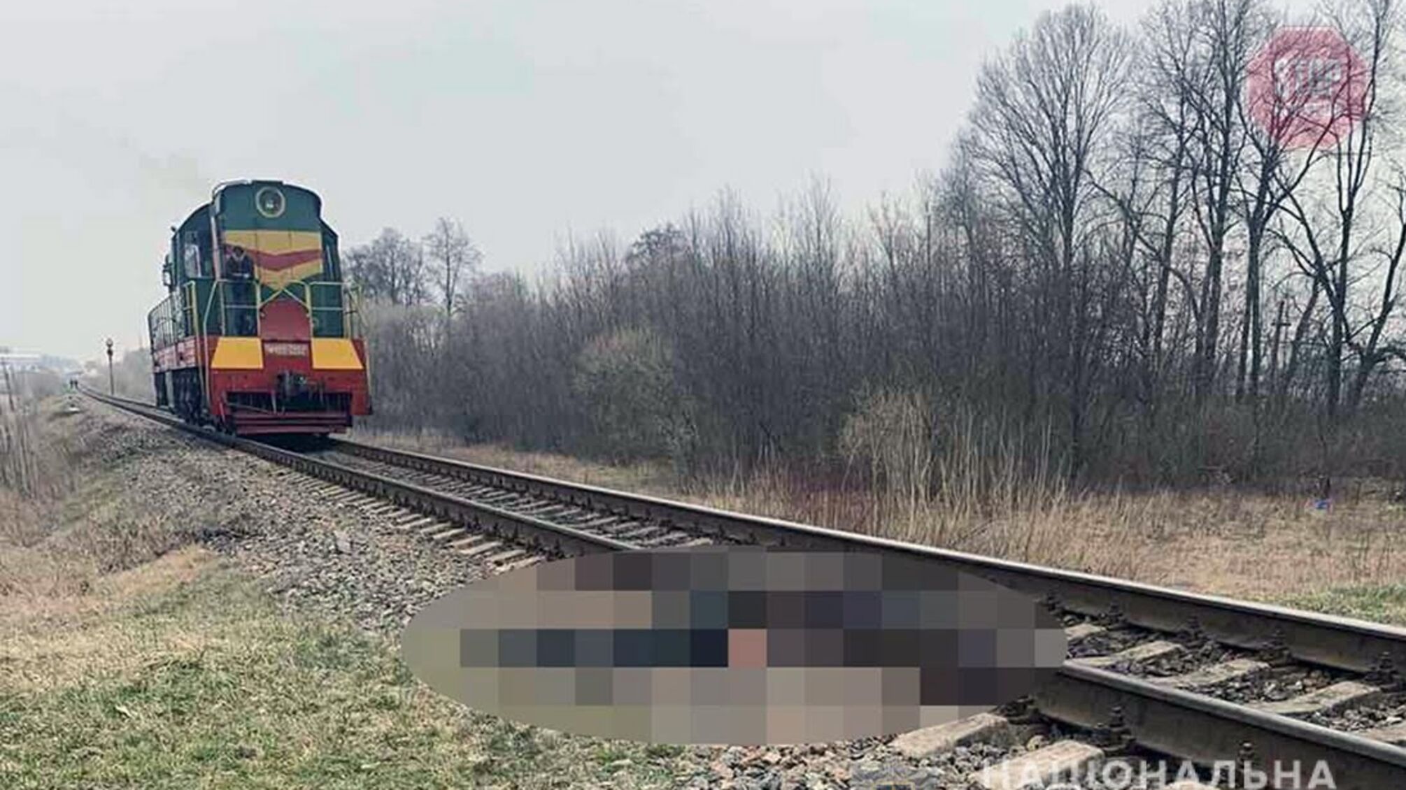 На Житомирщині потяг на смерть збив літню людину