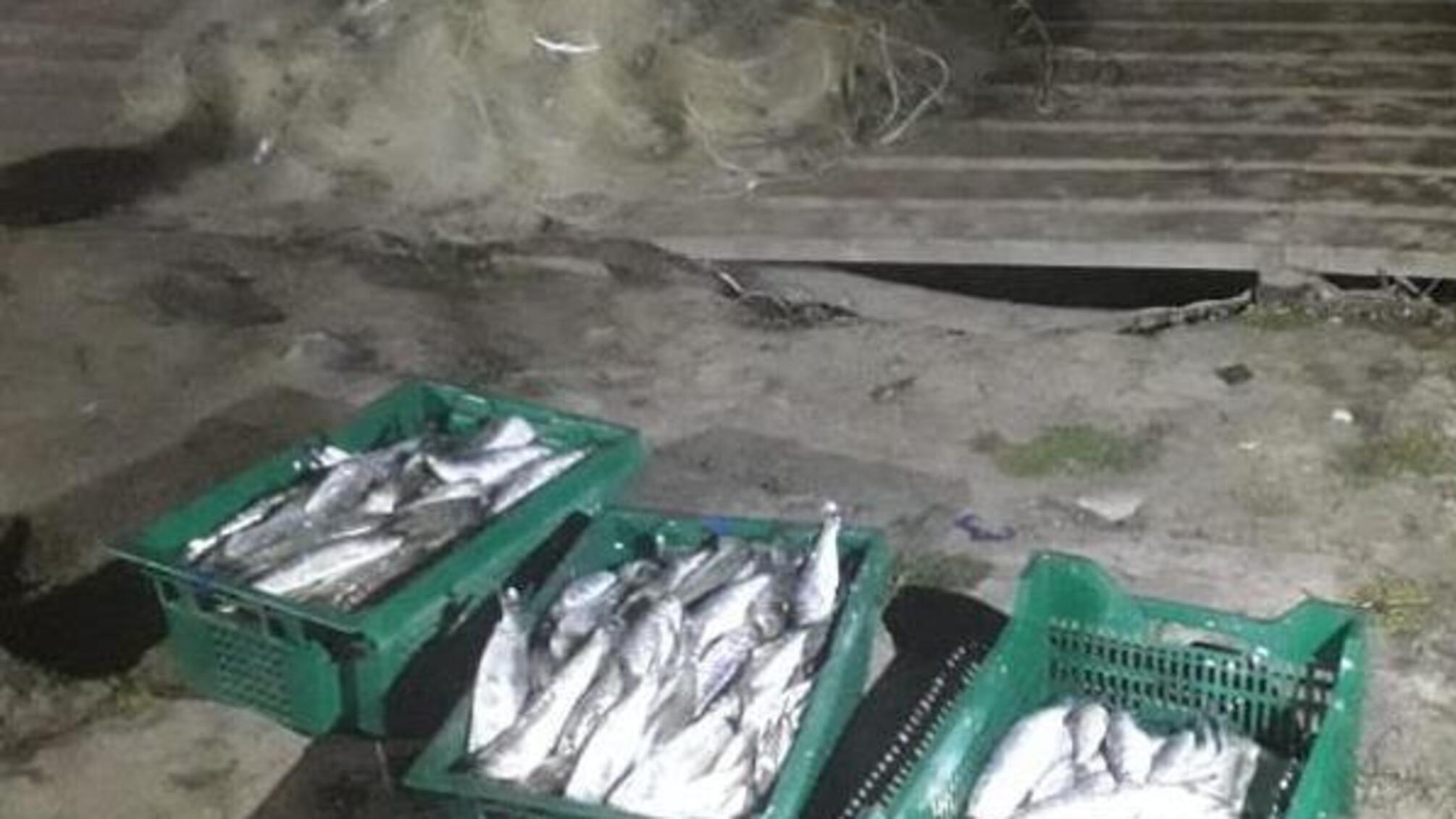 Під час рейду на Дунаї водна поліція затримала двох браконьєрів