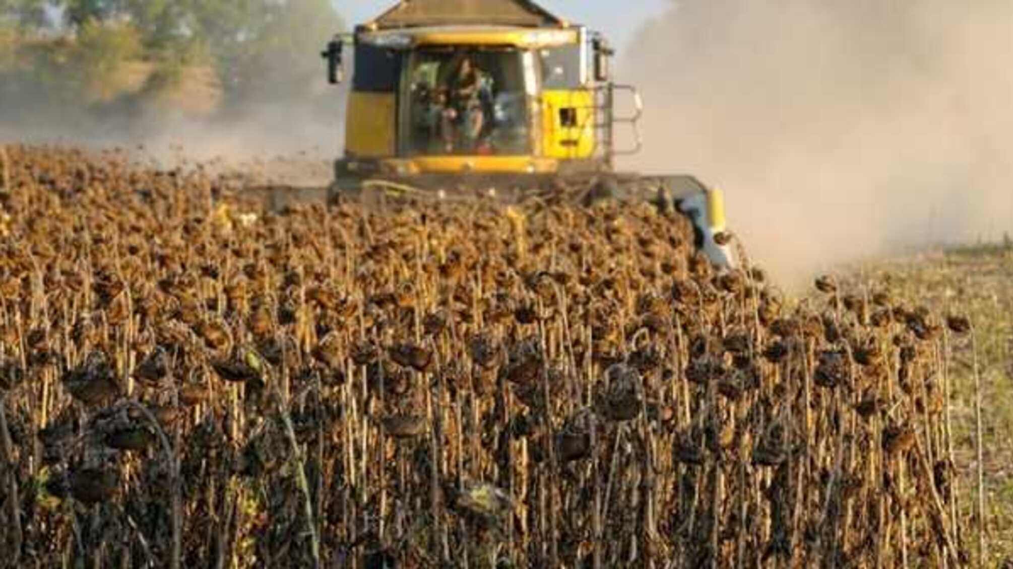 Рейдерская атака НАБУ на частный сельскохозяйственный бизнес Украины