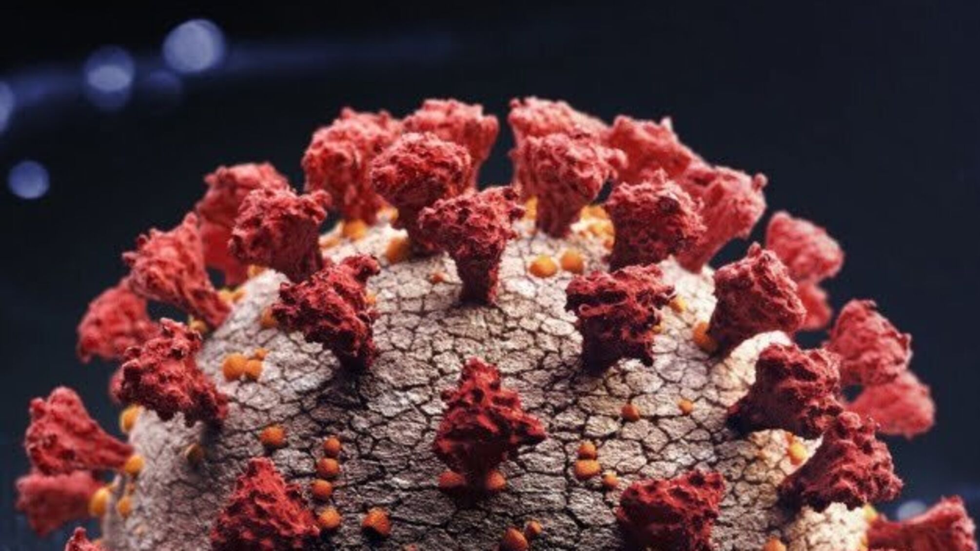 У Туреччині створили новий препарат проти COVID-19