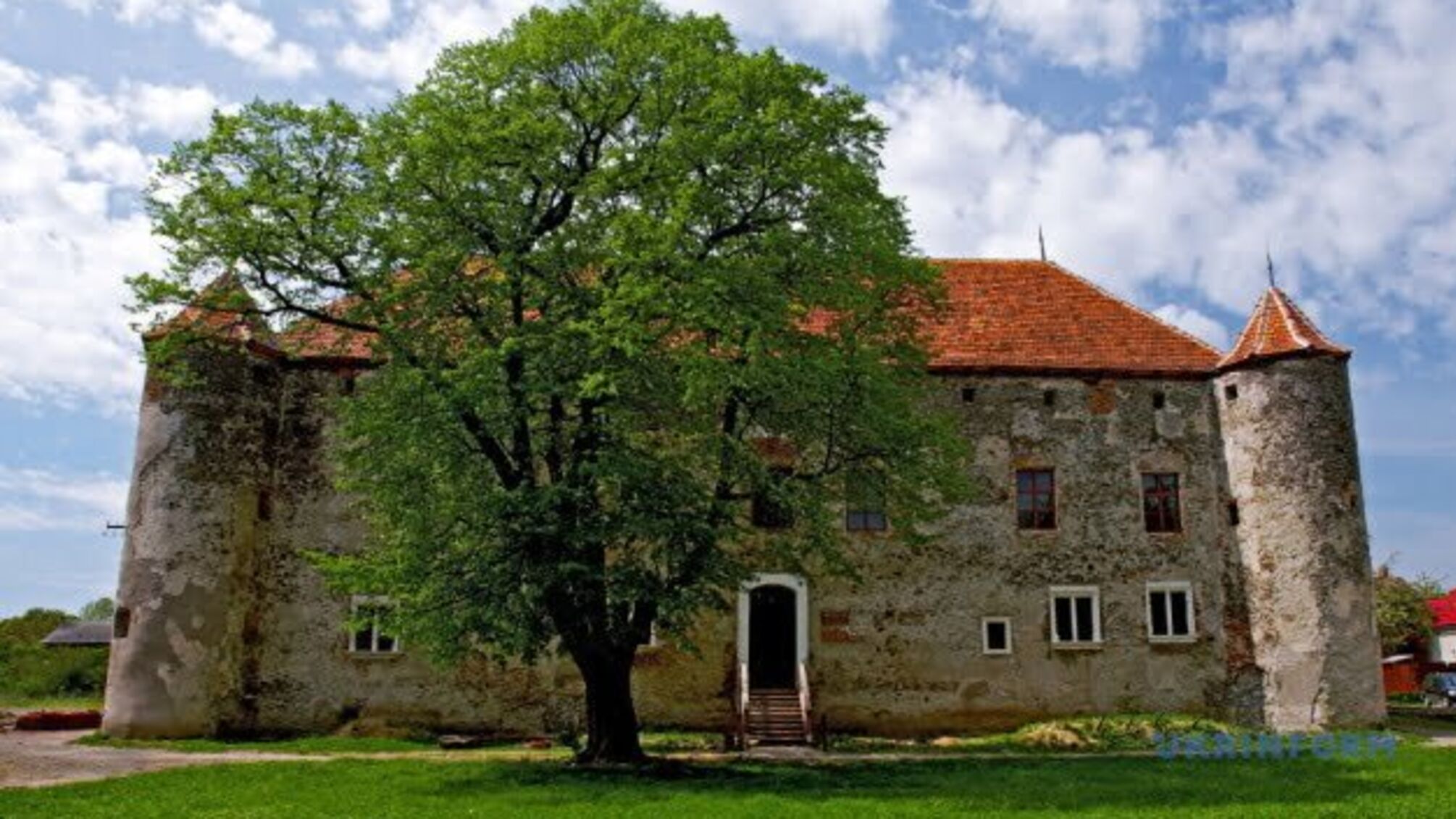 У Чинадіївському замку через локдаун просять про допомогу на утримання будівлі й коней