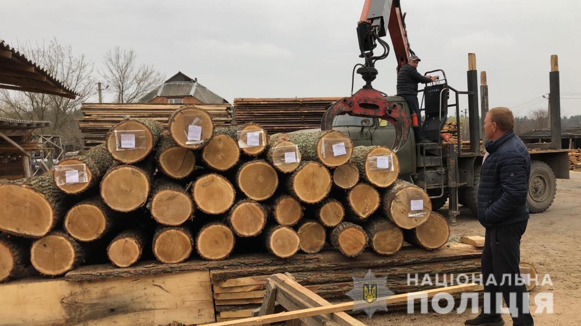 На Вінниччині поліцейські викрили організовану злочинну групу, яка налагодила схему розкрадання лісопродукції