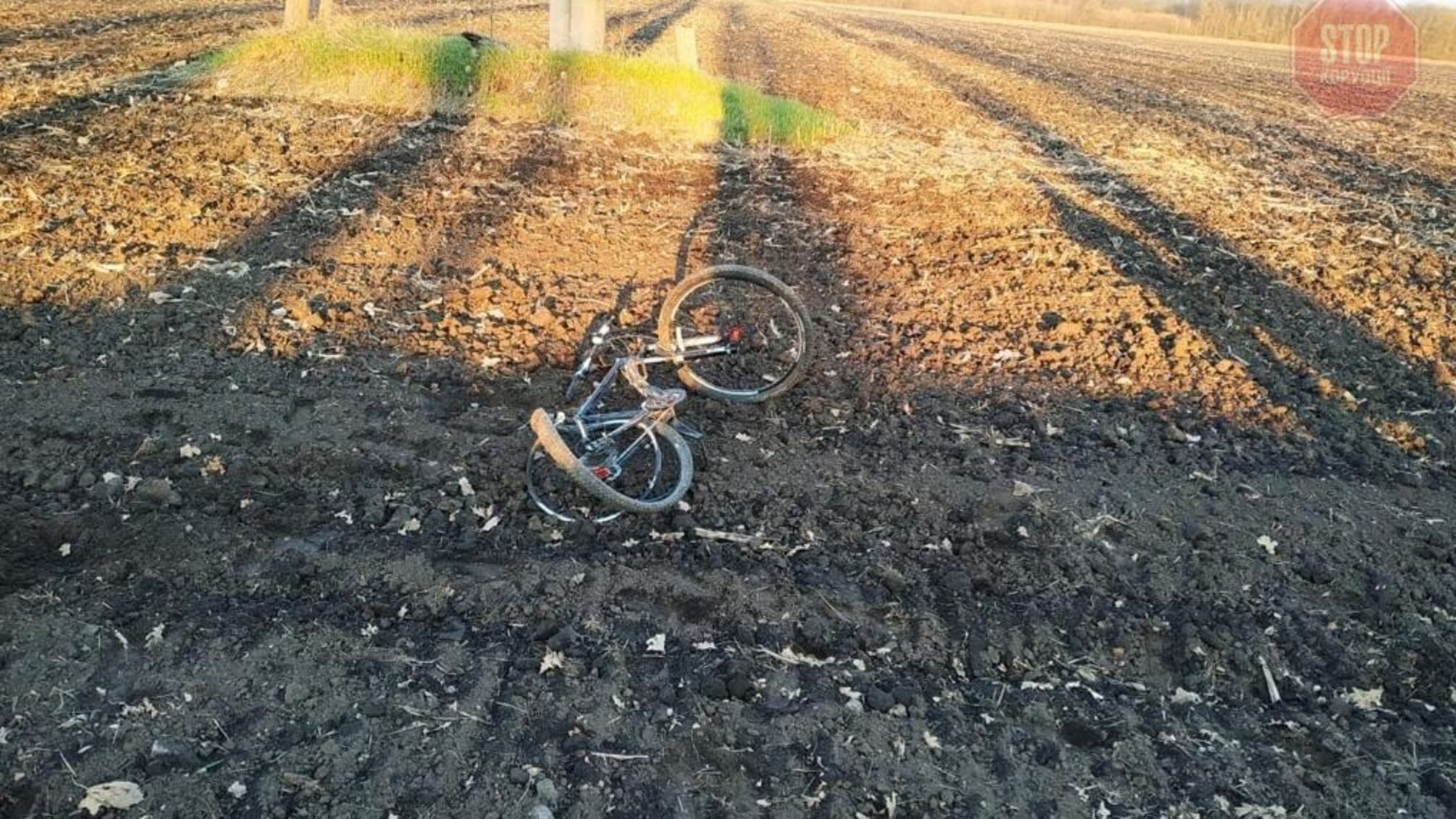 На Сумщині легковик збив велосипедиста та вилетів у кювет (фото)