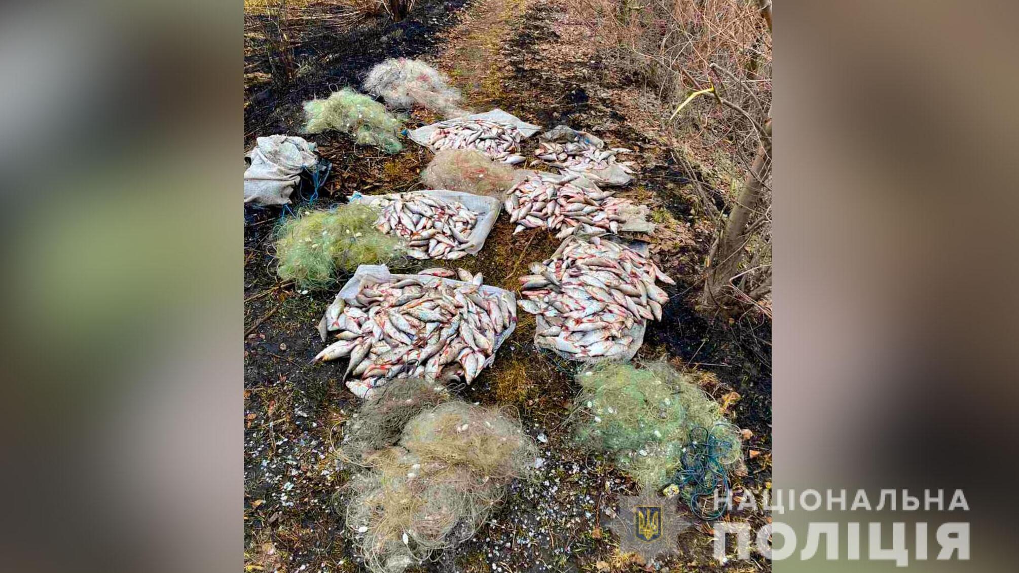На Полтавщині водна поліція викрила порушника нерестової заборони з уловом на понад 164 тисячі гривень