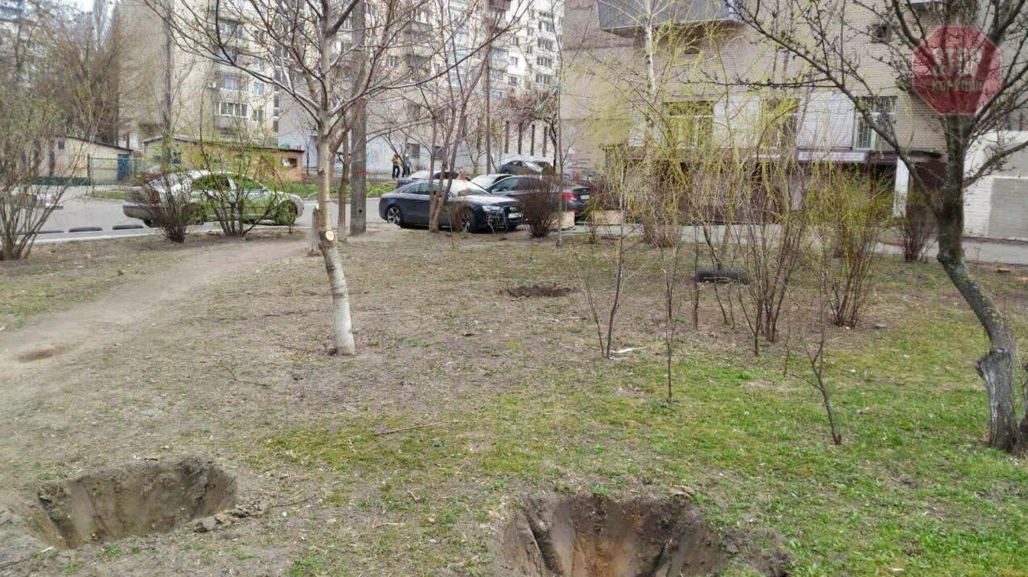 В інтернеті поширили фейк про вирубування дерев у сквері ім. Шаповала