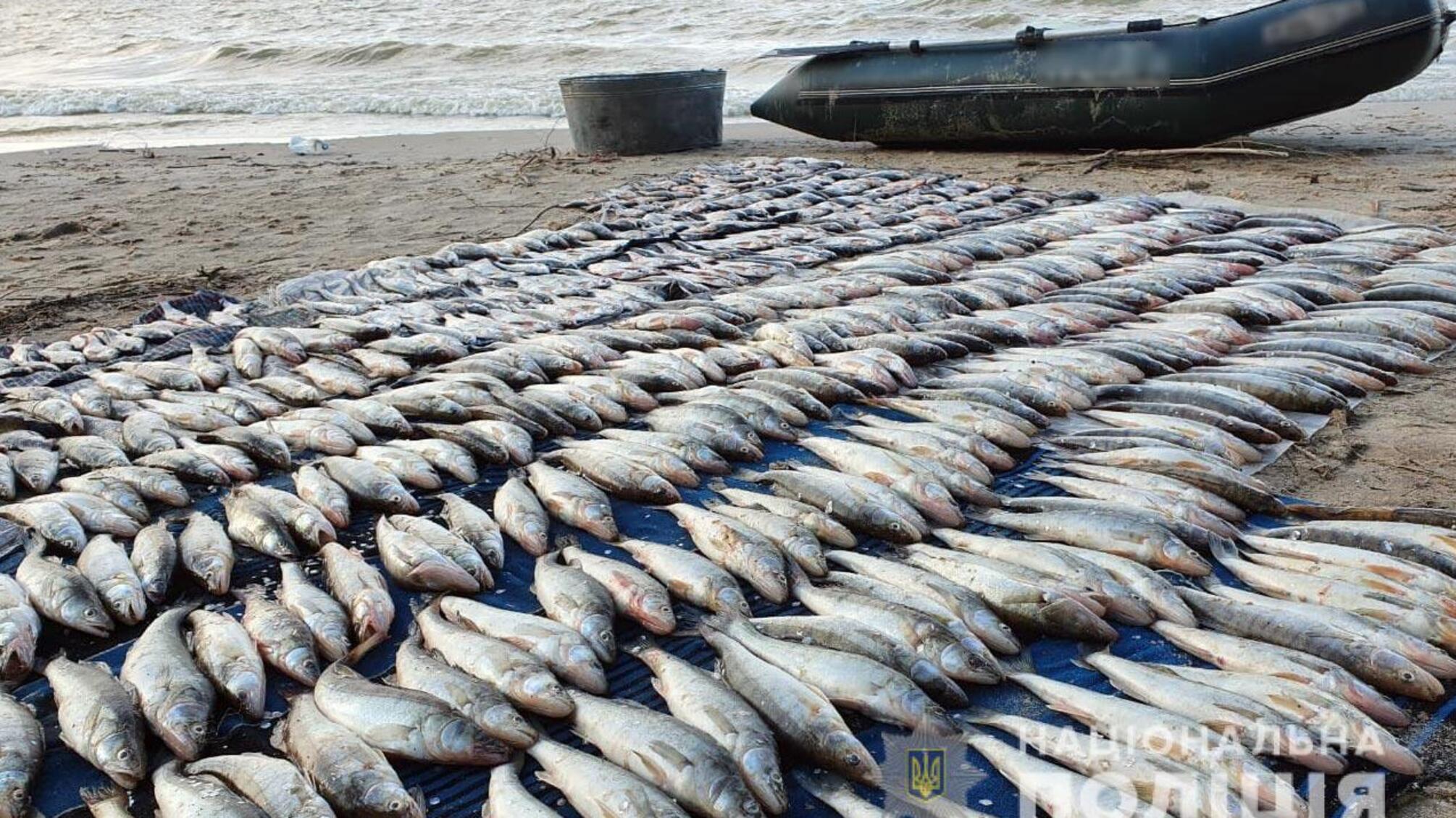 Поліцейські Полтавщини вилучили у браконьєра близько 100 кілограмів незаконно виловленої риби