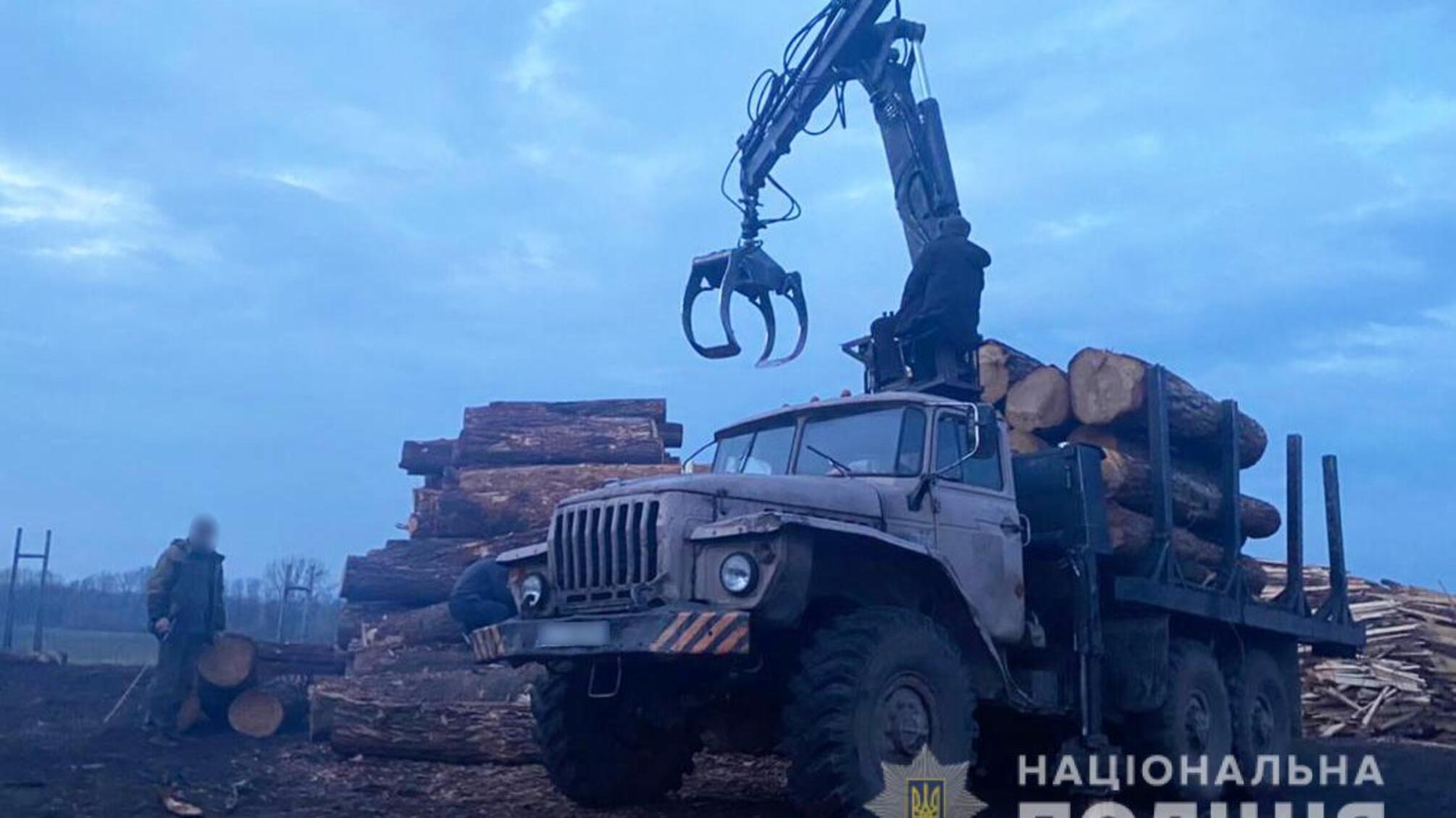 Понад 100 метрів кубічних необлікованої деревини та пиломатеріалів: результати обшуку на деревопереробному підприємстві на Волині