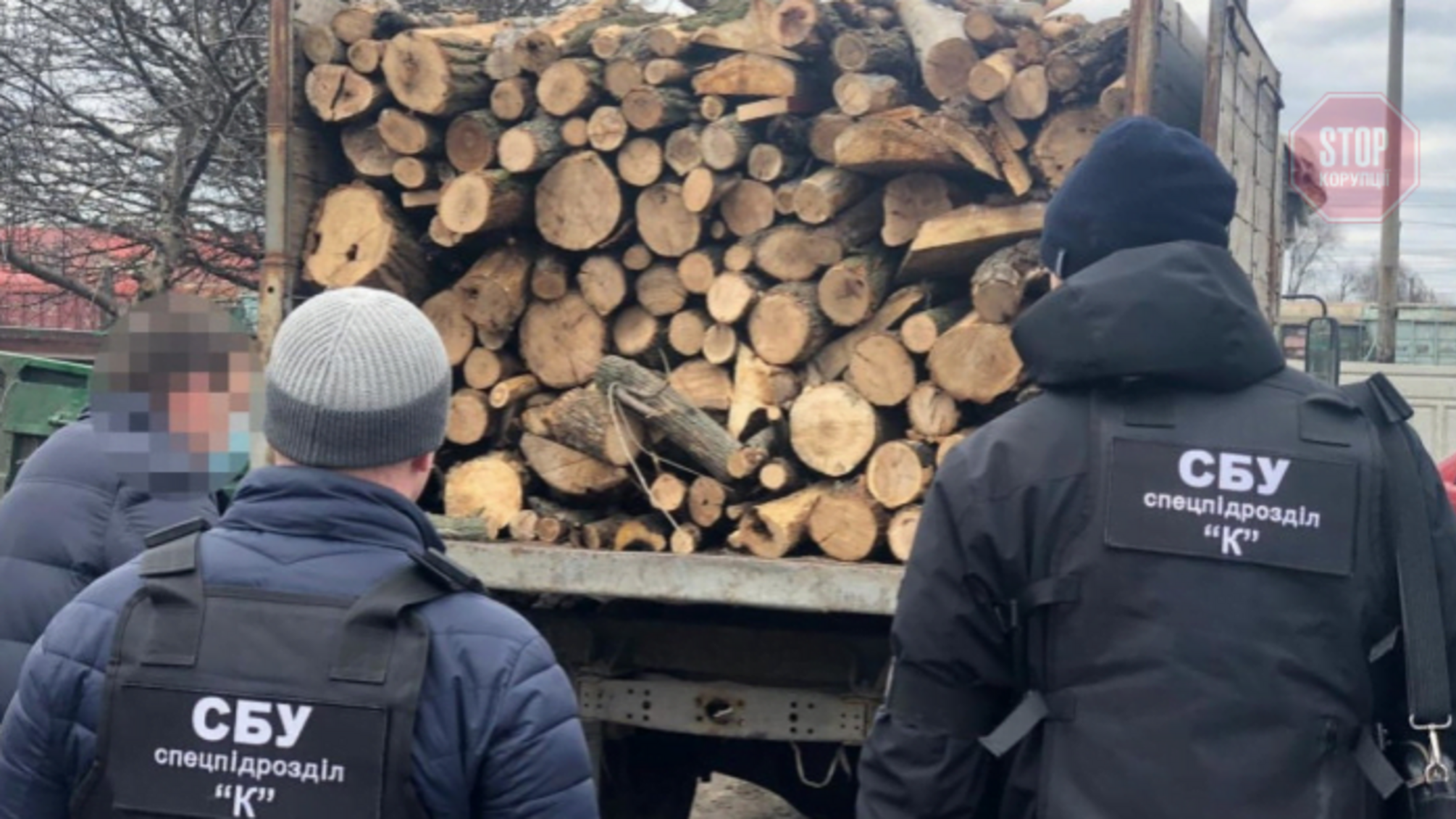 Новости Днепра: железнодорожный начальник организовал незаконную вырубку деревьев