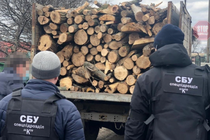 Новини Дніпра: залізничний начальник організував незаконну вирубку дерев