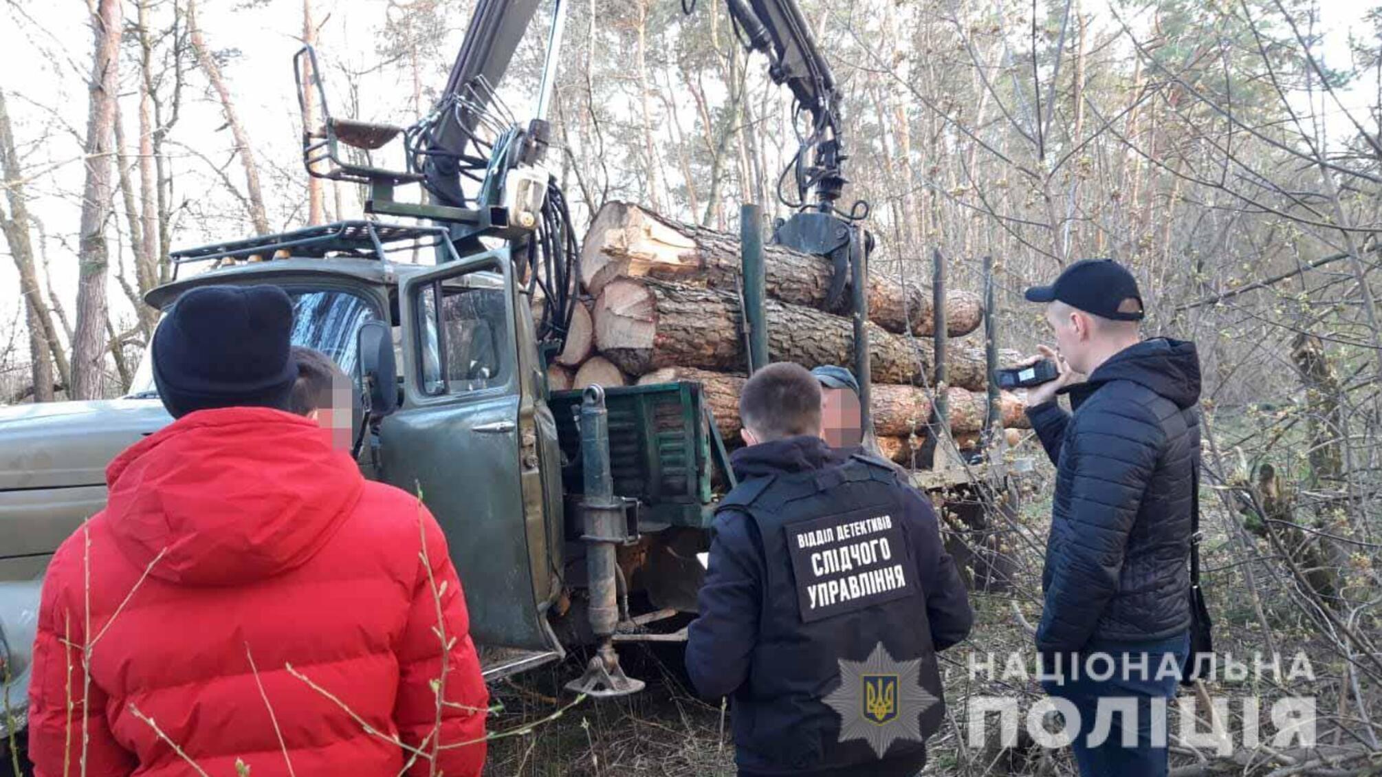 Слідчі поліції Вінниччини задокументували діяльність злочинної групи, яка організувала незаконну вирубку та привласнення лісу