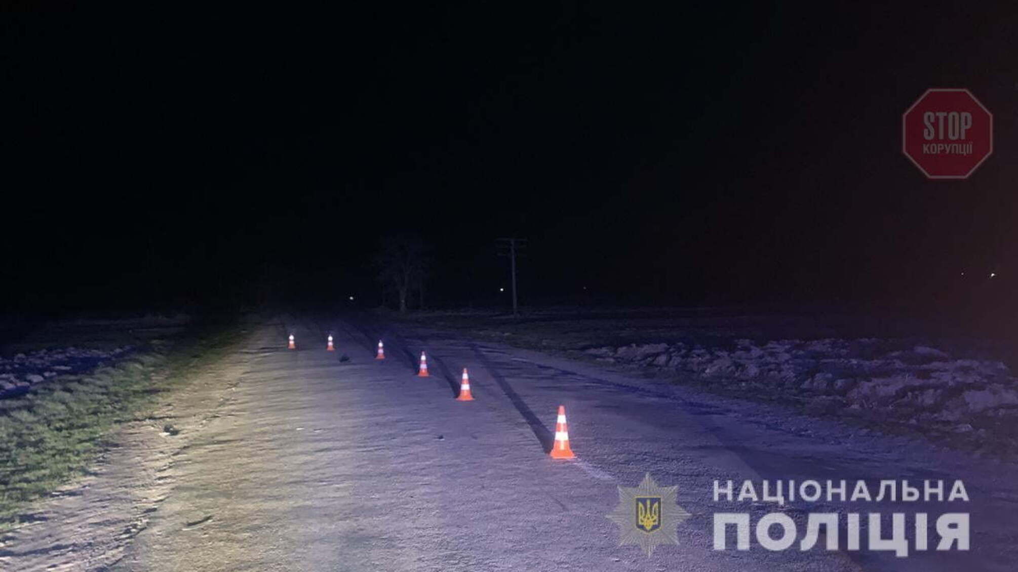 На Львівщині мікроавтобус збив на смерть літню людину (фото)