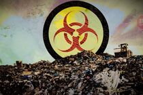 Львовский мусор несанкционированно вывозили на Житомирщину - местные жители обнаружили там медицинские отходы