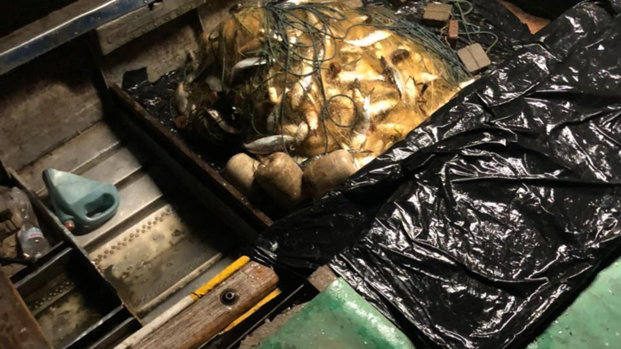 Водна поліція Одещини викрила трьох браконьєрів на території Нижньодністровського національного природного парку