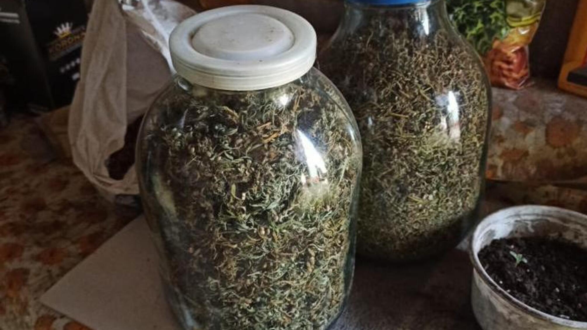 Ізмаїльські правоохоронці викрили 64-річного чоловіка у зберіганні канабісу