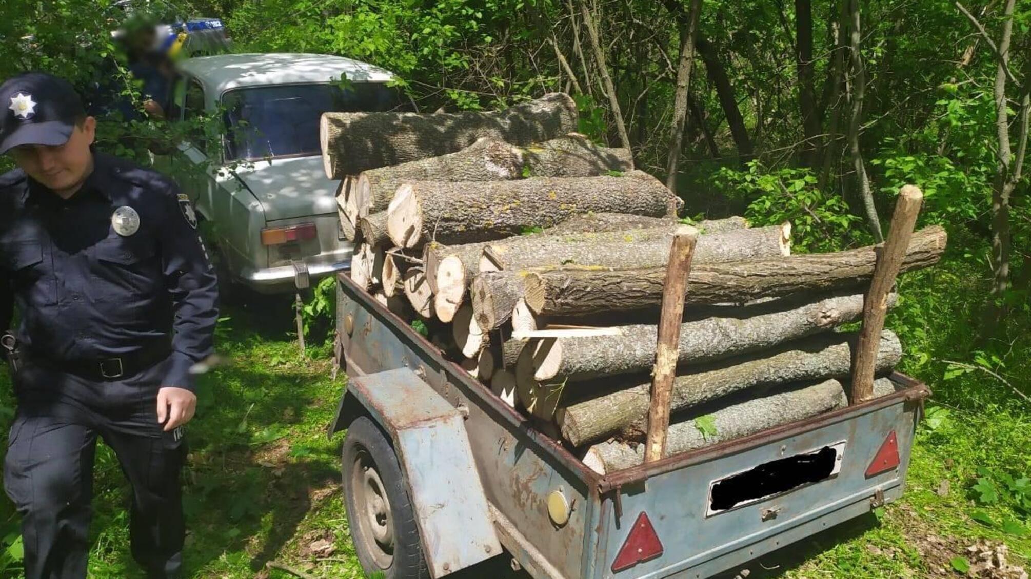 Поліцейські притягують до відповідальності жителя Ананьївської ОТГ за незаконну порубку дерев