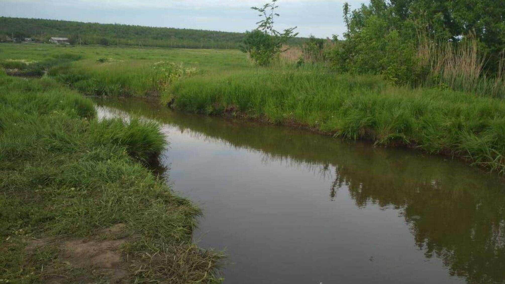 Поліцейські встановлюють обставини загибелі малолітнього мешканця Білгород-Дністровського району