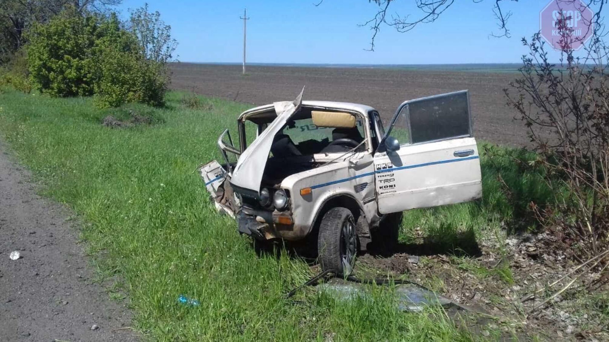 В Николаевской области автомобиль врезался в дерево, двое детей в больнице (фото)