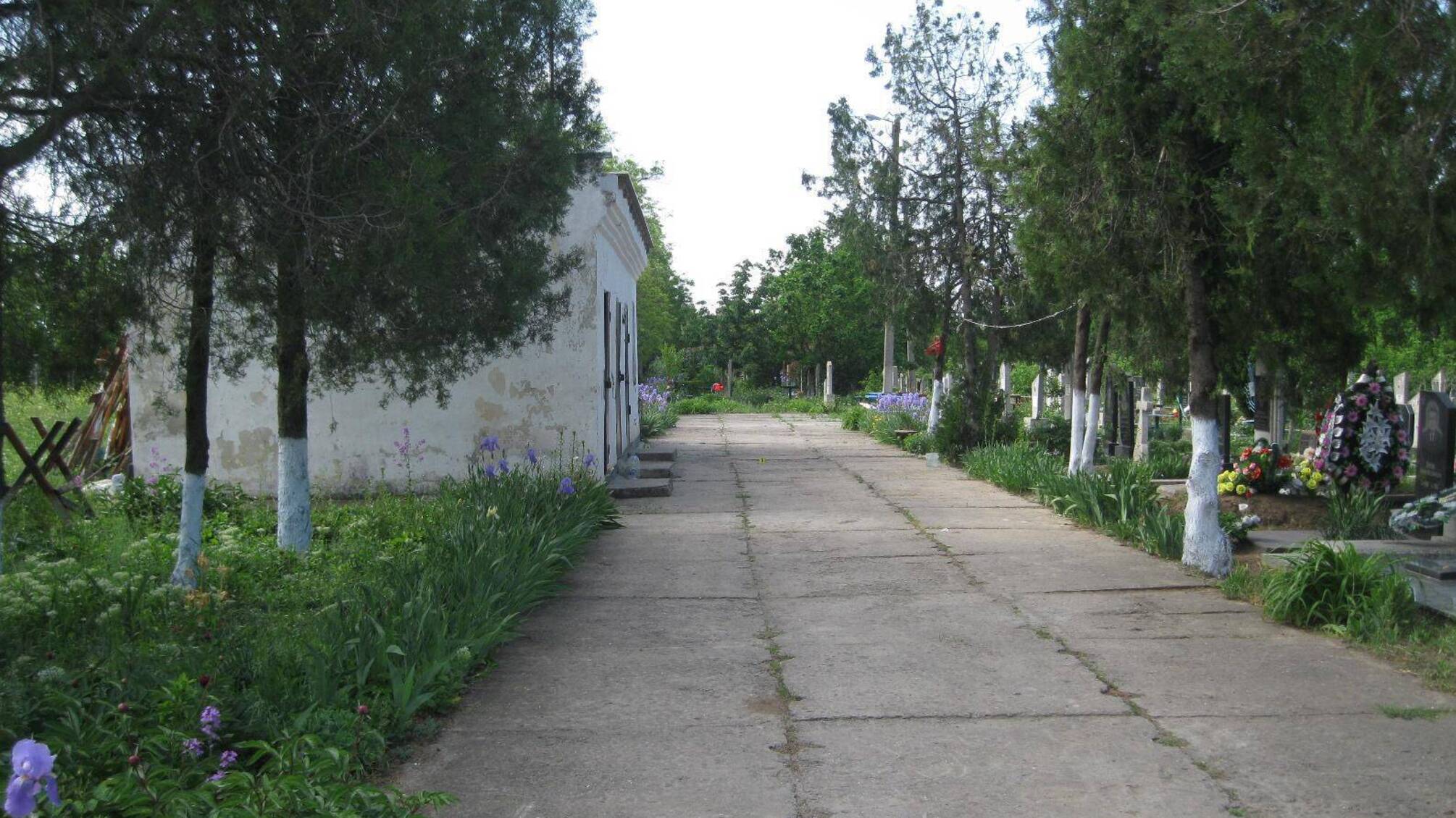 Поліцейські затримали жителя Білгорода-Дністровського за замах на вбивство подружжя пенсіонерів