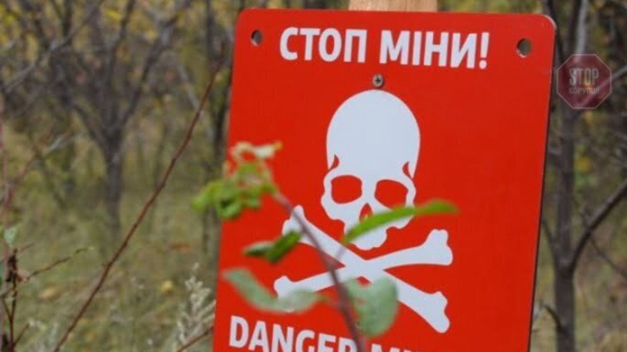 На Донбассе 16-летняя девушка пересекла минные поля, чтобы убежать из ОРДО