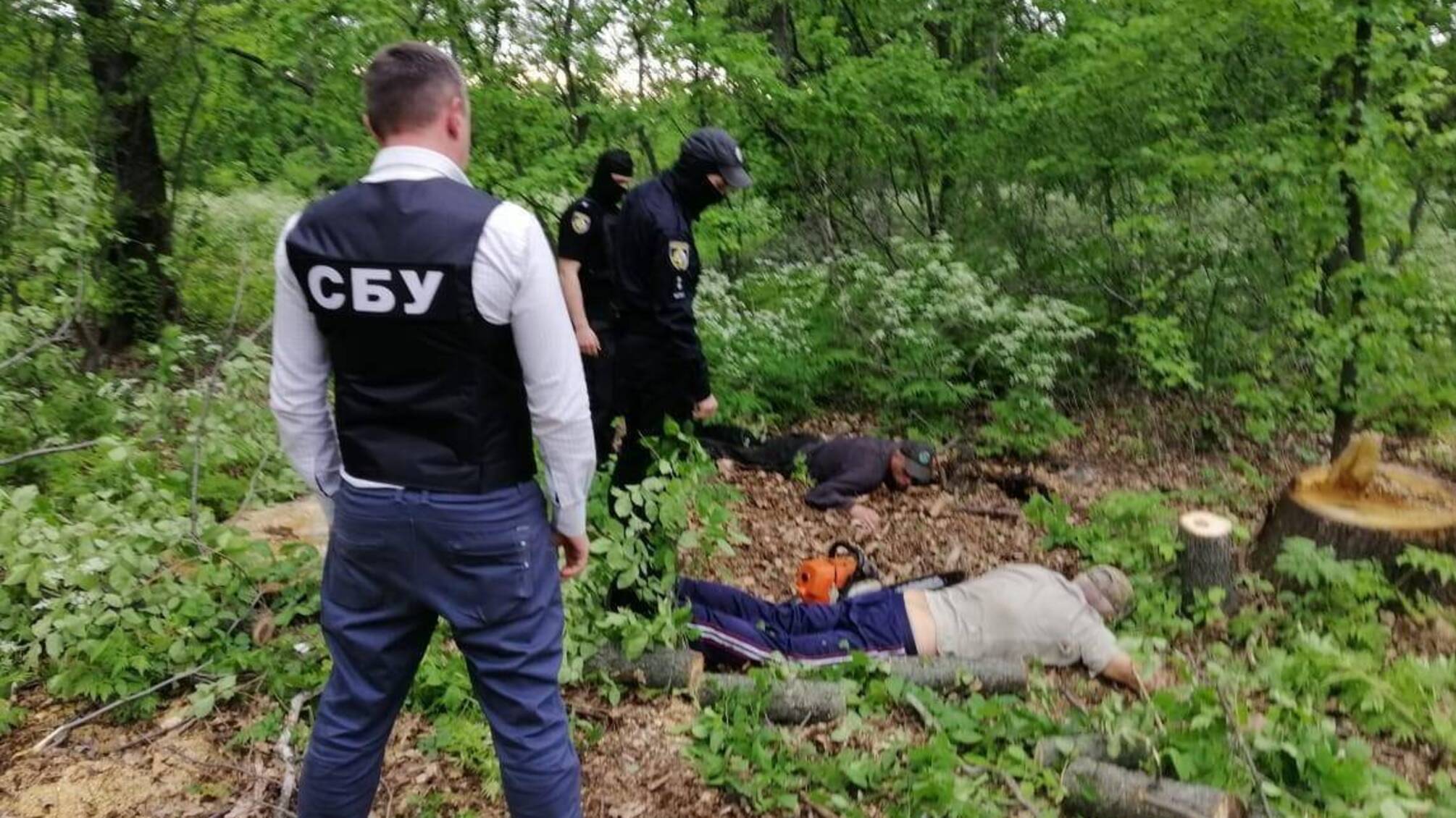 На Дніпропетровщині поліцейські викрили злочинну групу, яка займалась незаконною порубкою лісу