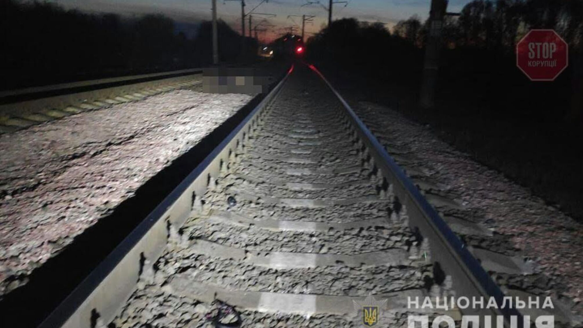 На Житомирщині потяг на смерть збив людину (фото)