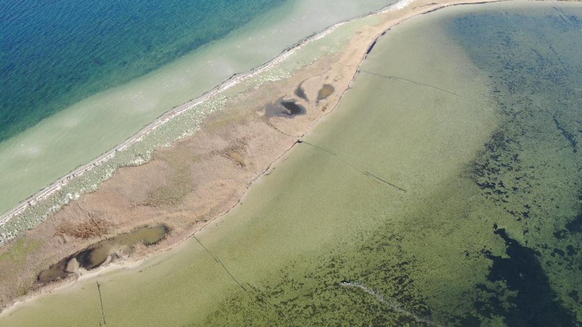 Поліцейські Херсонщини вдруге викрили чоловіка в браконьєрстві та завданні шкоди державі на майже чверть мільйона гривень