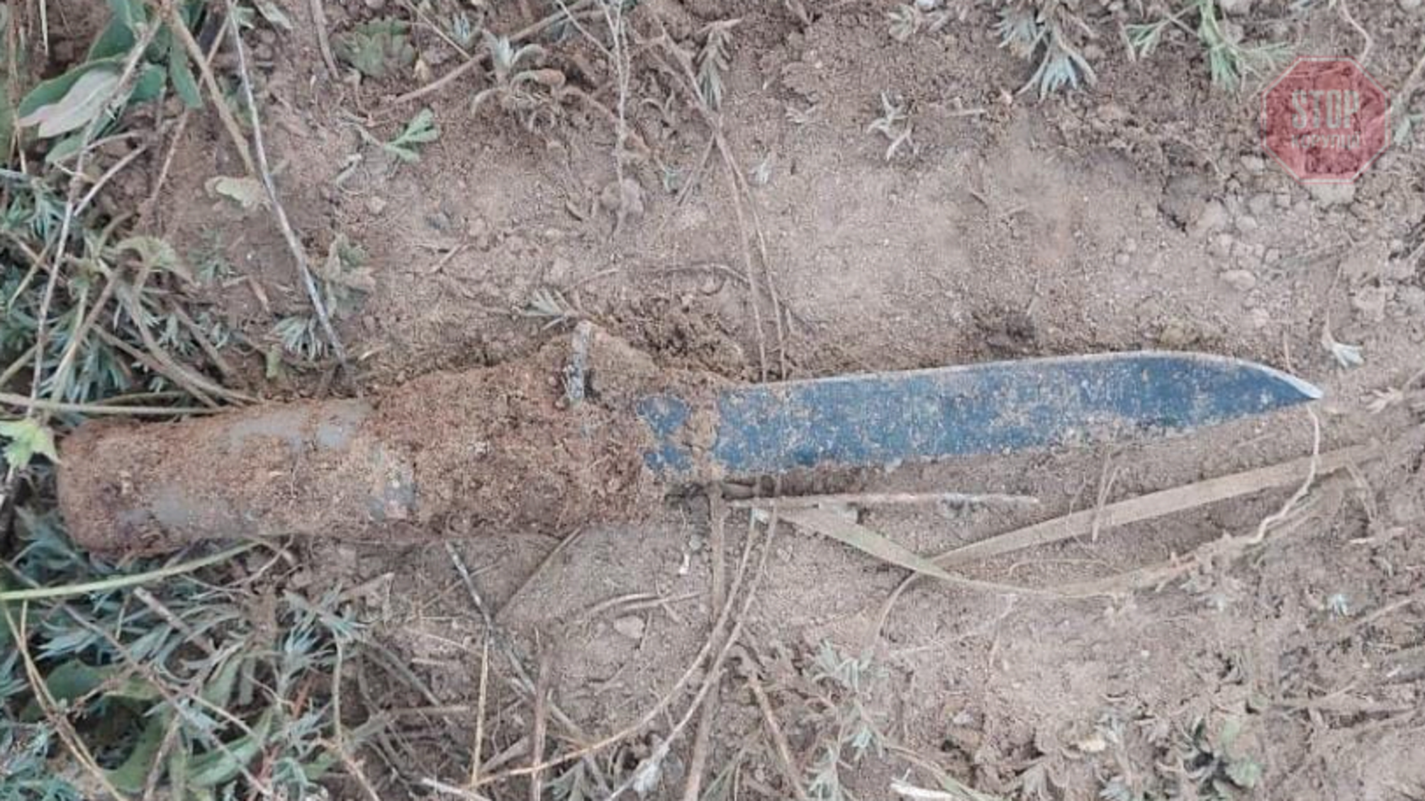 На Миколаївщині знайшли мертвим підозрюваного в замаху на військового (фото)