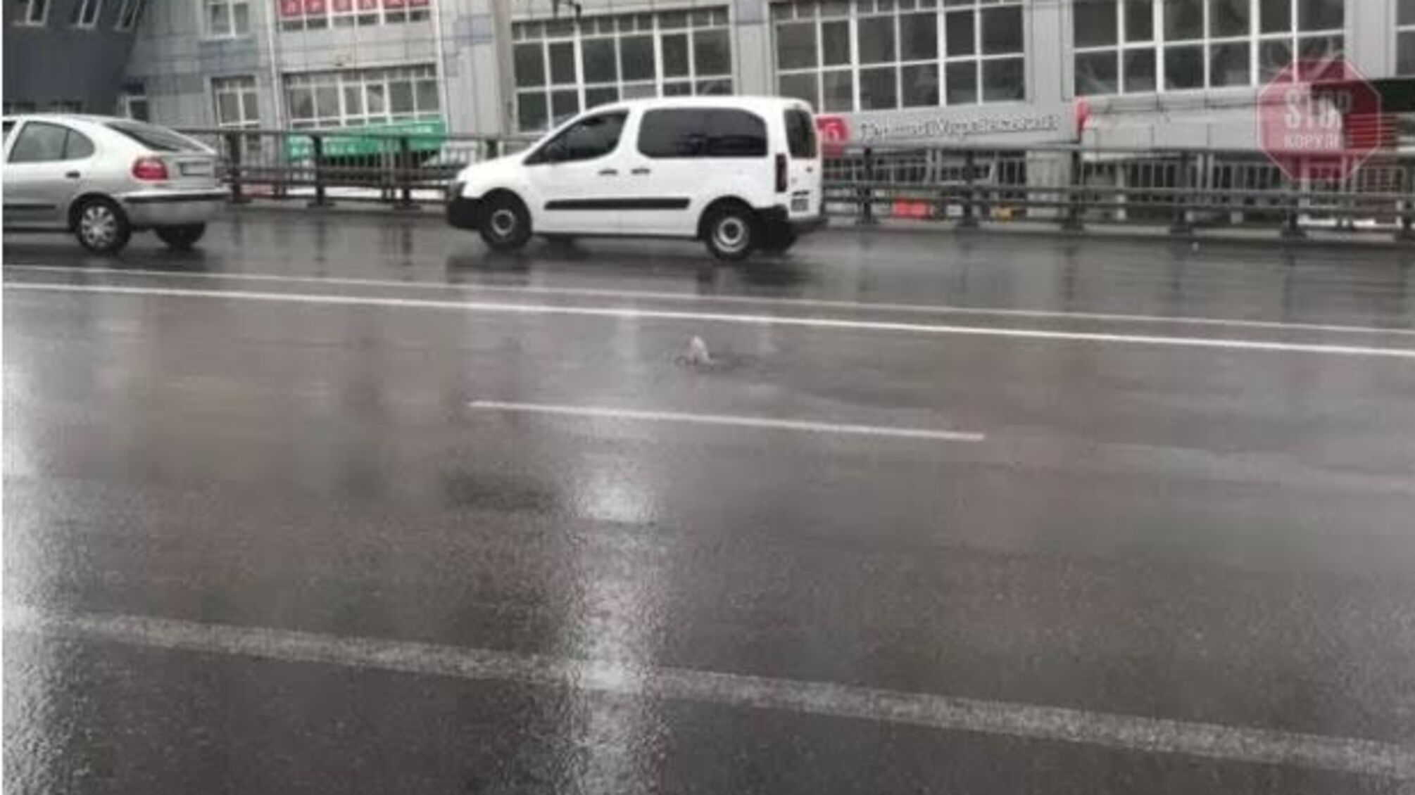 На столичному Шулявському мосту прямо посеред дороги б’є “фонтан” (відео)