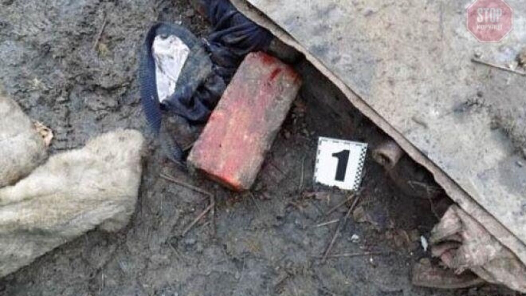 На Донеччині чоловік забив на смерть дружину цеглиною на очах 13-річної доньки (фото)